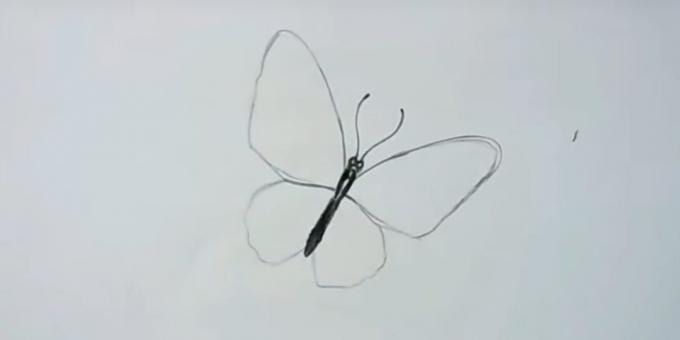 Umkreisen die Flügel und einen Schnurrbart Schmetterling zeichnen
