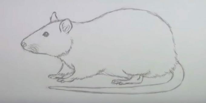 So zeichnen Sie eine Maus: Löschen Sie Skizzen
