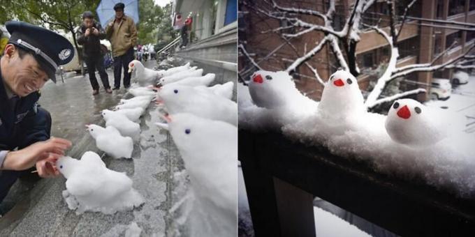 Schnee formt mit ihren Händen: Vögel