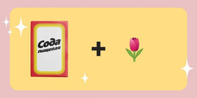 Soda-Anwendungen: Verlängern Sie die Lebensdauer von Schnittblumen