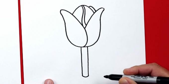 So zeichnen Sie eine Tulpe: Fügen Sie einen Stiel hinzu
