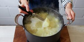 Wie und wie viele Kartoffeln zu kochen