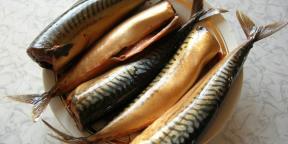 7 Möglichkeiten, um schnell und lecke Gurke Makrele zu Hause
