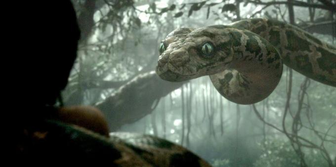 Aufnahme aus dem Film über Schlangen "The Jungle Book"