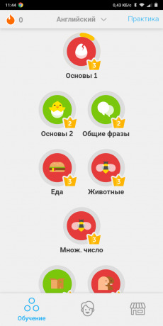 Appscope: Duolingo