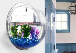 Gefunden AliExpress: Wand-Aquarium, freundlich Puncher und die externe Batterie von Xiaomi