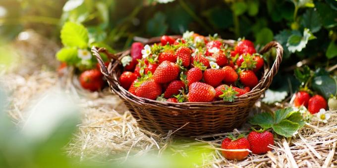 Saisonwaren: Erdbeere