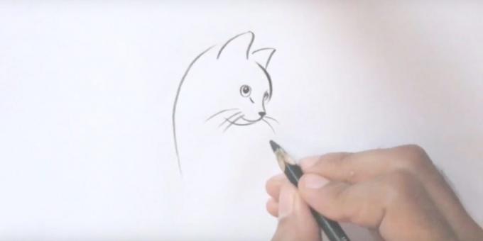 Malen Sie auf die Katze langen Schnurrbart