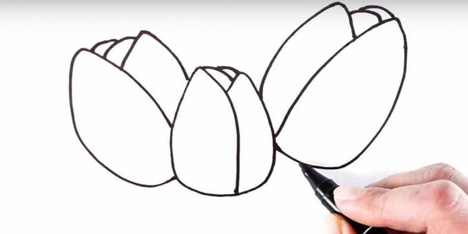 So zeichnen Sie eine Tulpe: Fügen Sie Blütenblätter zurück