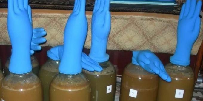 Wasserdichtung für Cidre leicht Handschuhe machen