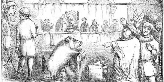 Ein Schwein und seine Ferkel werden versucht, ein Kind zu töten. Illustration aus Chambers 'Day Book