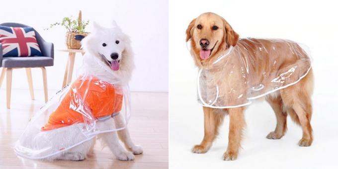 Raincoat für Hunde