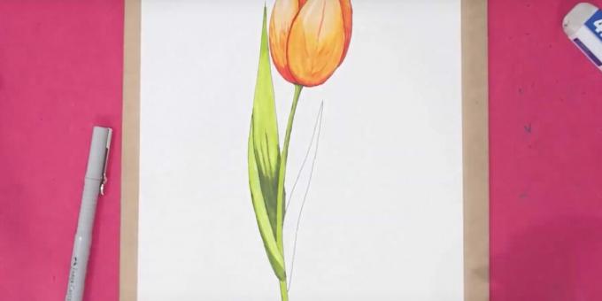 So zeichnen Sie eine Tulpe: Beenden Sie das linke Blatt