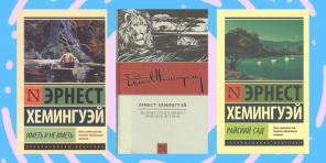 Führer Bücher von Ernest Hemingway: Das Besondere an ihnen und warum sollten sie lesen