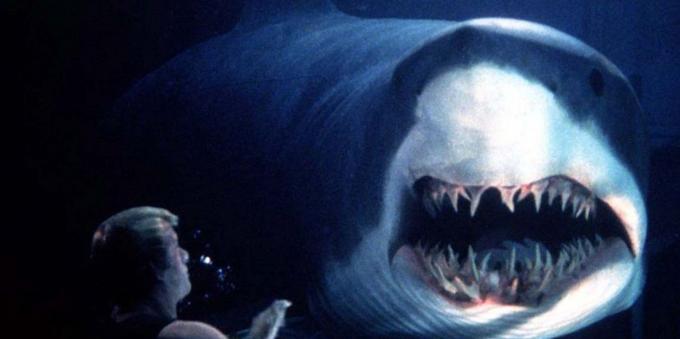Haifilme: Das tiefblaue Meer