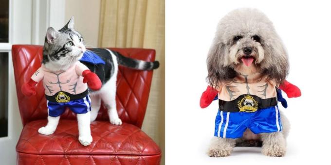 Weihnachten Kostüme für Hunde und Katzen: Boxer