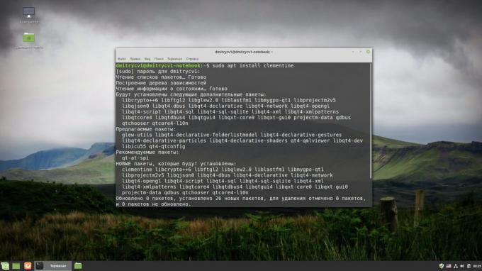 Wie installiert man Software in Linux: Terminal