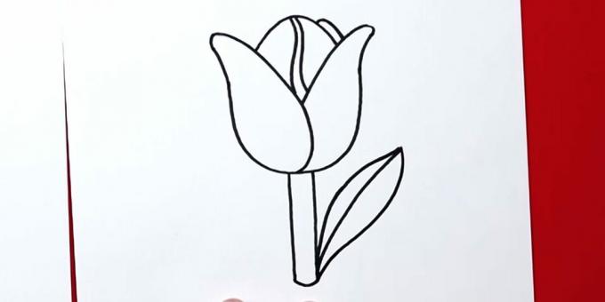 So zeichnen Sie eine Tulpe: Beenden Sie das rechte Blatt