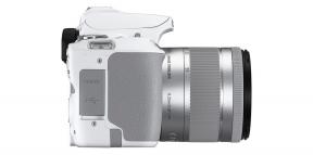 Canon stellte die EOS 250D - eine sehr kompakte und leichte SLR
