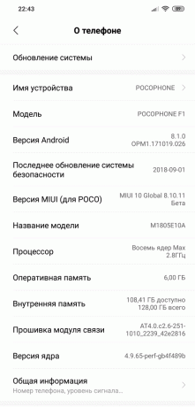 Bewertung Xiaomi Pocophone F1: Systemversion