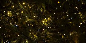 6 Weihnachtstraditionen, die uns aus dem Heidentum gekommen sind