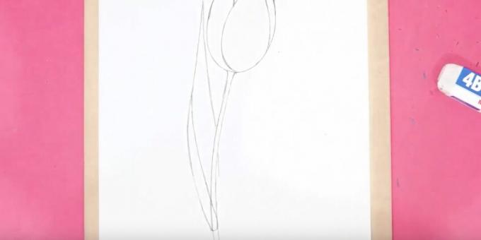 So zeichnen Sie eine Tulpe: Zeichnen Sie den Stiel und das linke Blatt