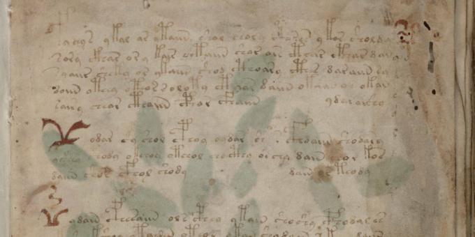 Die Geheimnisse der Geschichte: das Voynich-Manuskript