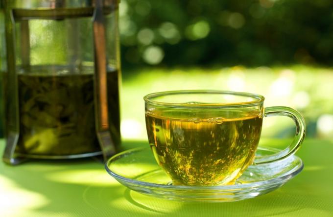 Gewohnheiten, das Gewicht verlieren helfen: grünen Tee trinken