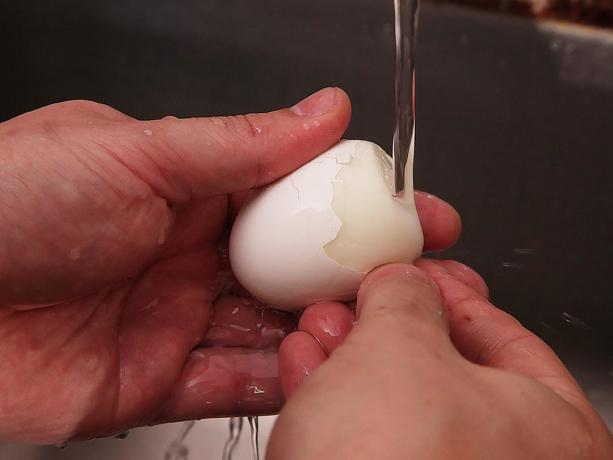 Wie man richtig die Eier reinigen