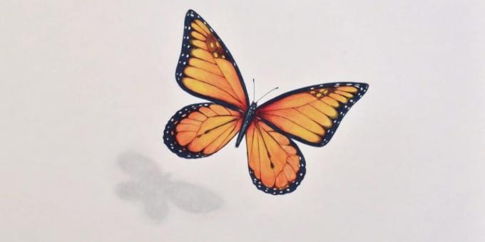 Wie ein realistischen Schmetterling Marker und Buntstifte zeichnen