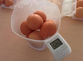 Was profitablere Eier zu kaufen