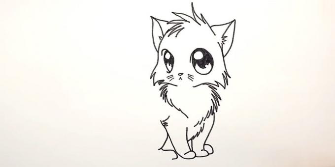 Wie Anime Katze zeichnen: über das erste Bild einer Wolle Vorderfuß
