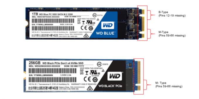 Was besser SSD: SSD M.2 c Taste B + M (oben) und SSD M.2 mit der Taste M (unten)