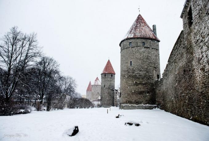 Tallinn Wand