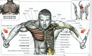 11 Möglichkeiten, Krafttraining weniger gefährlich für die Gelenke zu tun