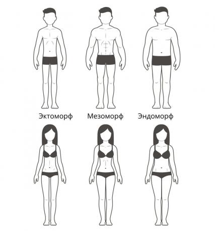 Körpertypen
