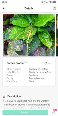 Identifizieren Arten von Indoor-Pflanzen mit Picture
