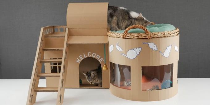 Wie macht man ein zweistöckiges Haus für die aus dem Kasten heraus Katze mit ihren Händen
