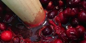 Wie Cranberry-Saft mit einem vollmundigen Geschmack kochen
