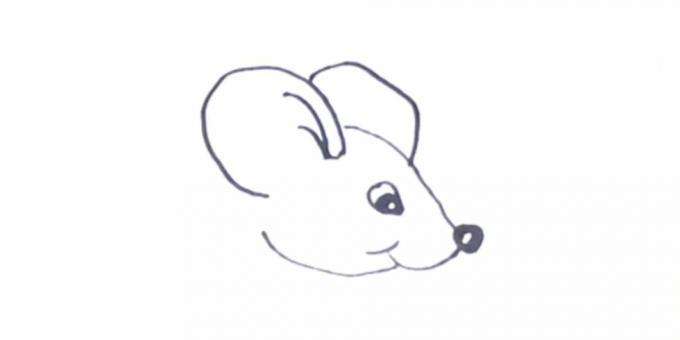 Wie man eine Ratte zeichnet: Stellen Sie die Ohren dar