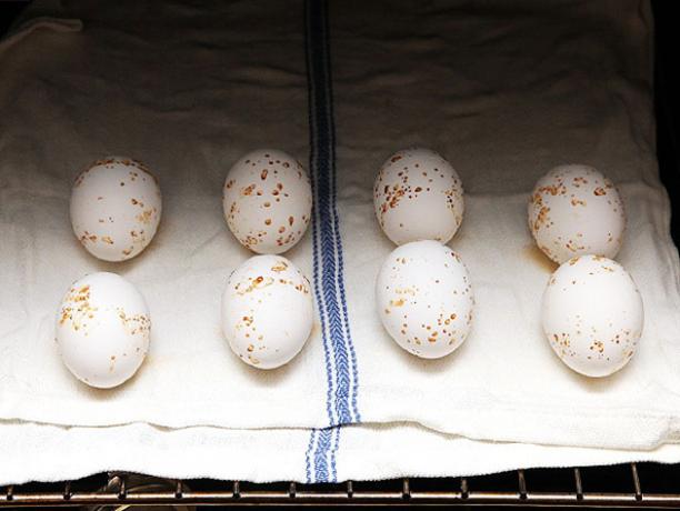 Wie die Eier in dem Ofen kochen