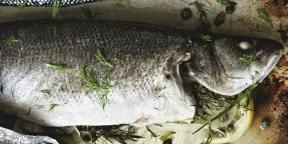 7 interessante Gerichte von Fisch aus Gordon Ramsay