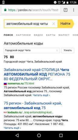 „Yandex“: Suche nach dem Regionalcode