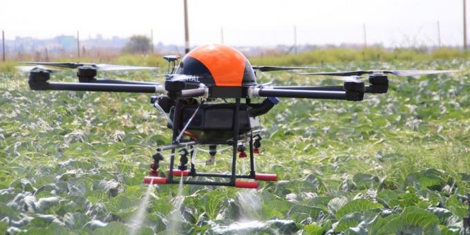 Drone hilft wachsen Pflanzen