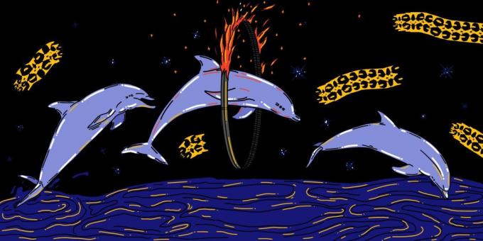 Dolphinarium - ein Hohn von Tieren