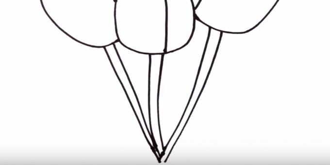 Wie zeichnet man eine Tulpe: Zeichnen Sie die Stiele