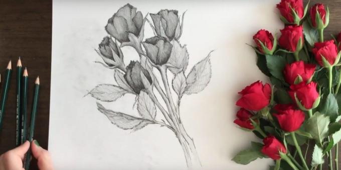 Wie man einen Strauß Rosen Bleistift zeichnen