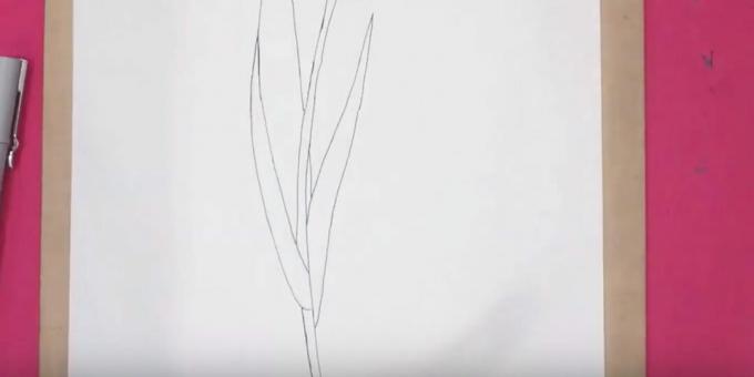 So zeichnen Sie eine Tulpe: Zeichnen Sie das rechte Blatt