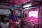 Salat im Raum. Die Astronauten wachsen Pflanzen auf der ISS und warum es wichtig ist