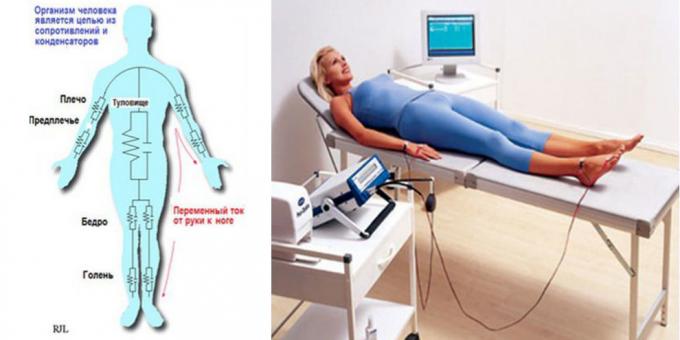 Körper Bioimpedanzanalyse device „MEDASS“